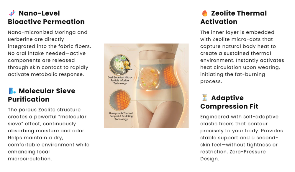 Official Brand Store | 🛡️2026 Moringa & Berberine 4-in-1 Micro-Particle Shaping & Fat Burning Shorts